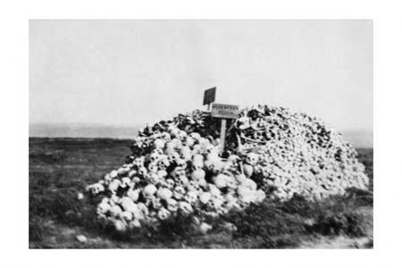 Çanakkale'de 4 mucize 51
