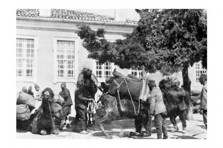 Çanakkale'de 4 mucize 60