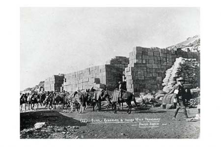 Çanakkale'de 4 mucize 77