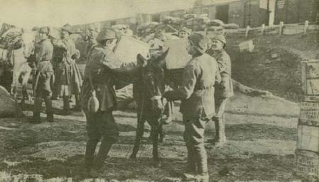 Çanakkale'de 4 mucize 83
