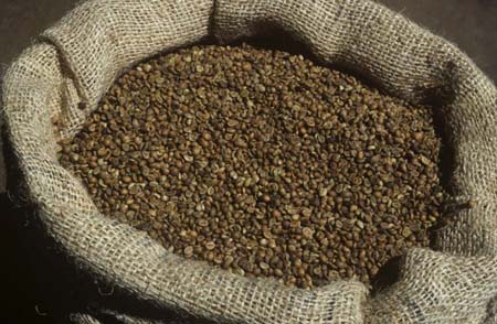 Kahvenin 500 yıllık sırrı 21