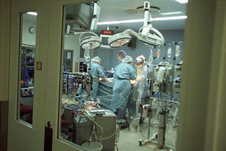 Peygamberlerin meslekleri 24