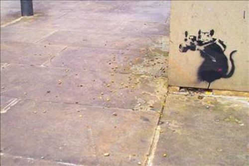 Sokağın gizemli sanatçısı Banksy 26
