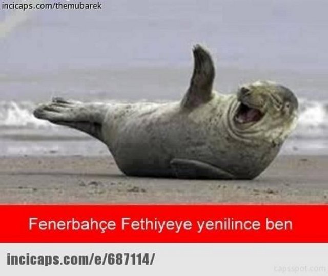 Sosyal Medyada 'Fenerbahçe Fethiyespor' Kupa Maçı Geyikleri 9