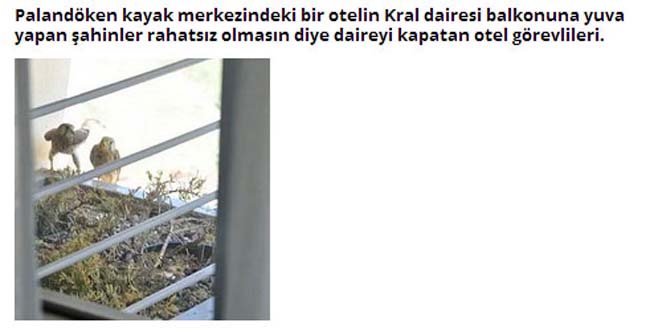 Dünyada iyilik de var 13