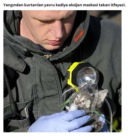Dünyada iyilik de var 14