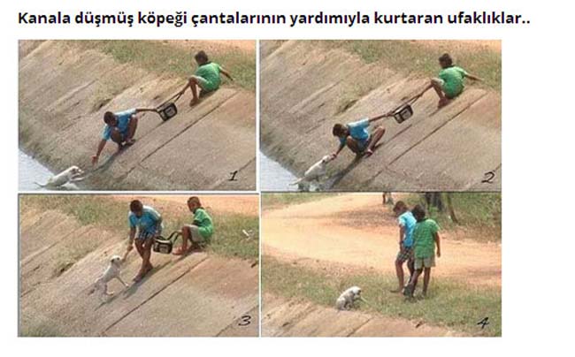 Dünyada iyilik de var 18