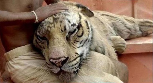 Çok konuşulan filmlerin o sahnelerinin nasıl gerçekleştiğini görünce şok 85