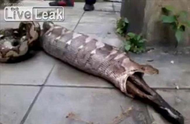 Biraz sonra olacaklara inanamayacaksınız 29