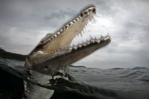Ustalardan 100 Gün 100 Fotoğraf 17