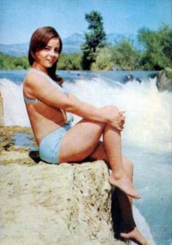 Sette büyüdüler 7