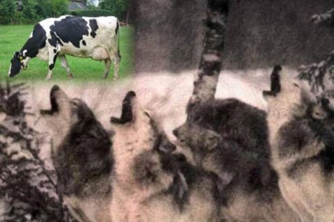 Bakanlığın 'batıl inançlar' listesi... 19