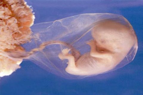 Bakanlığın 'batıl inançlar' listesi... 28