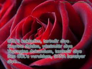 Kandil Mesajları 13