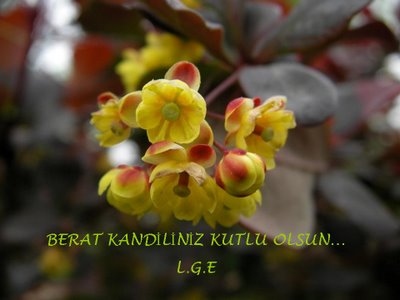 Berat Kandili mesajları 3