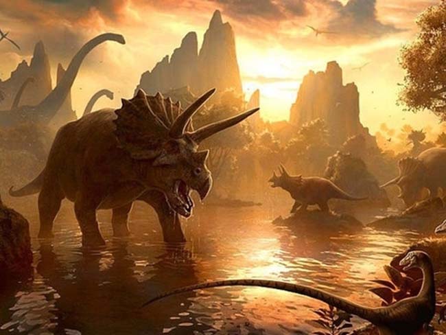 Dünya hakkında hiç duyulmamış gerçekler 17