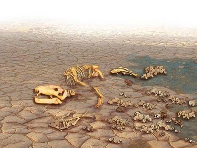 Dünya hakkında hiç duyulmamış gerçekler 43