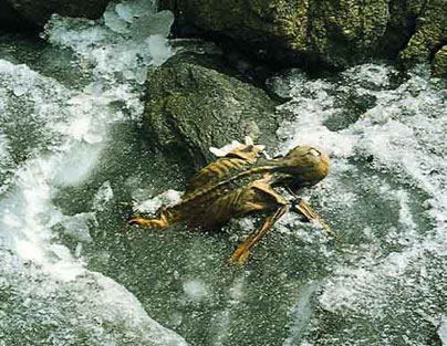 Buz adamı Ötzi ile ilgili araştırmalar devam ediyor 4