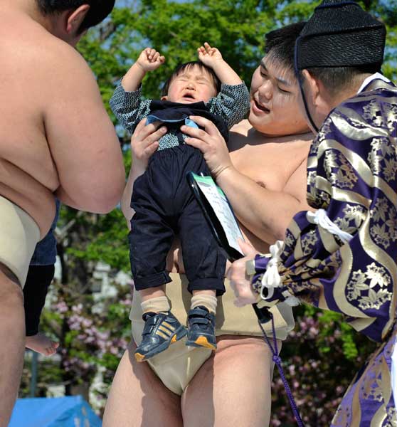 Ağlayan Sumo! 14