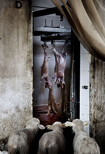 Sony Dünya Fotoğraf Ödülleri 2010 sahiplerini buldu. İşte kazanan fotoğraflar 1