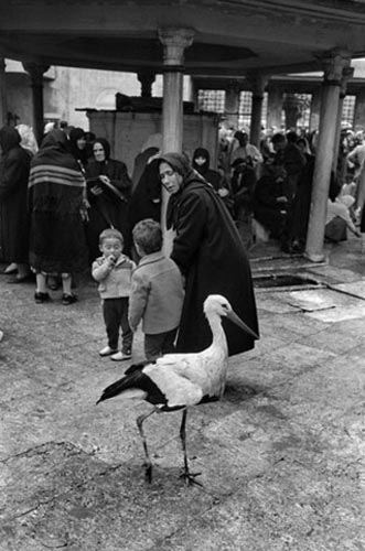 En güzel İstanbul fotoğrafları 16
