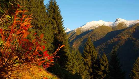 Karadeniz'in gizli 30 cenneti 13