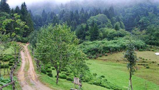 Karadeniz'in gizli 30 cenneti 19