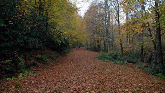 Karadeniz'in gizli 30 cenneti 21