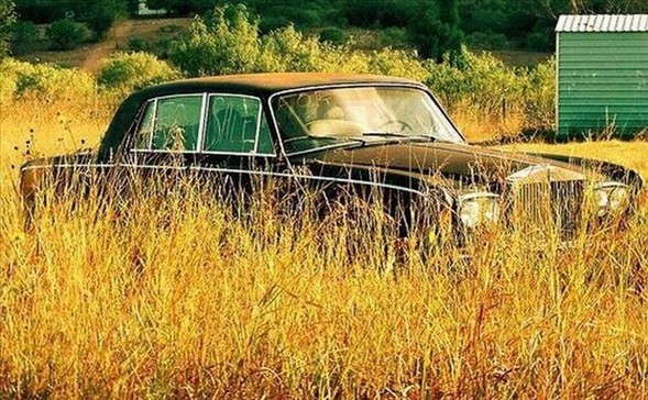 Servet değerinde 'çöp'ler 29