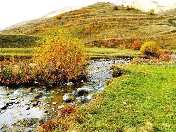 Kar yağışı etkisi altına aldı 41