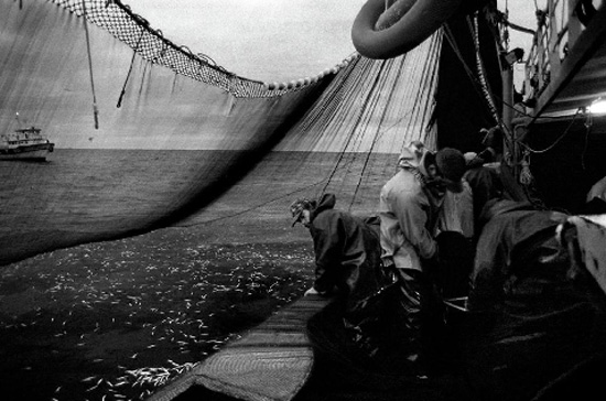 Vanessa Winship arşivinden çıkan siyah beyaz Karadeniz fotoğrafları 20