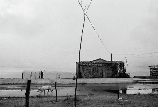 Vanessa Winship arşivinden çıkan siyah beyaz Karadeniz fotoğrafları 9
