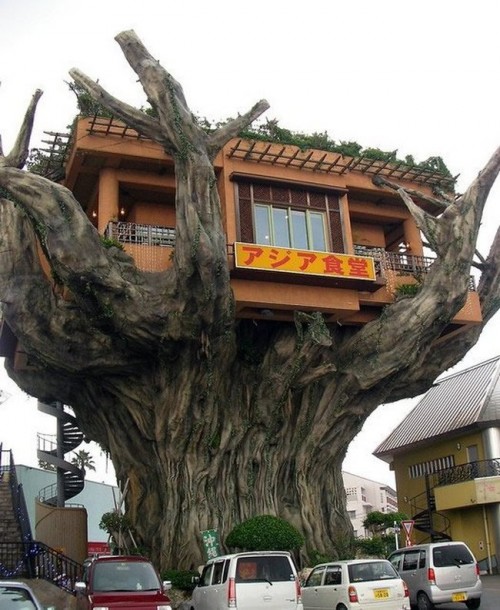 Bu restoranda garson yok 33