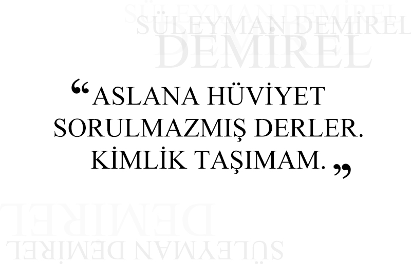 Süleyman Demirel'in hayatı 8