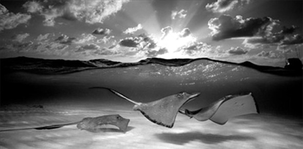 Dünyanın en güzel 40 fotoğrafı 9