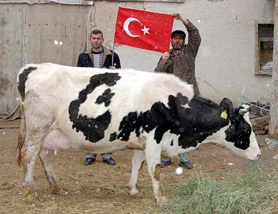 Yurdum İnsanı - 46 18