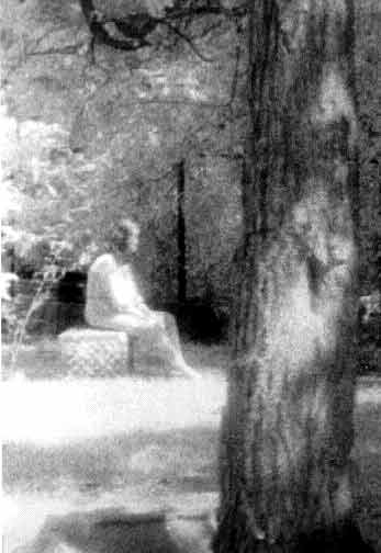 Bu fotoğrafın sırrı çözüldü 12