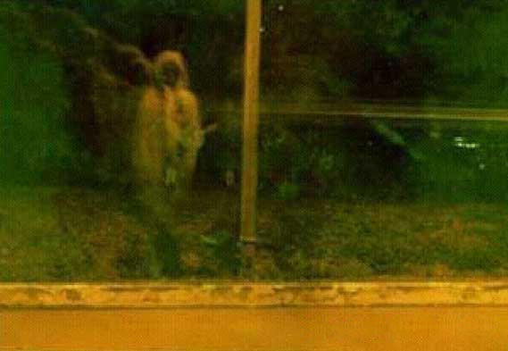 Bu fotoğrafın sırrı çözüldü 25
