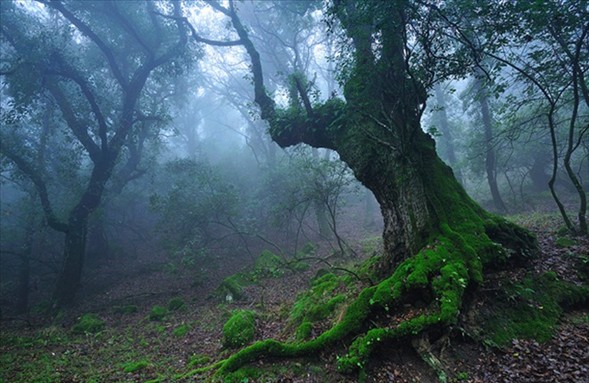 Usta fotoğrafçıların gözdeleri 28