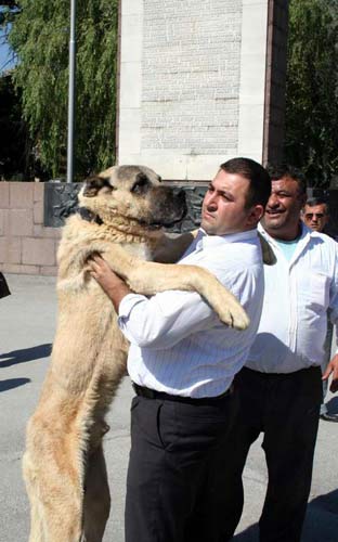 Yurdum İnsanı - 112 22
