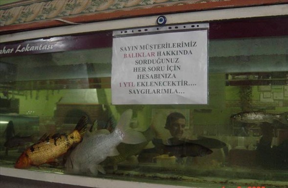 Yurdum İnsanı - 112 6