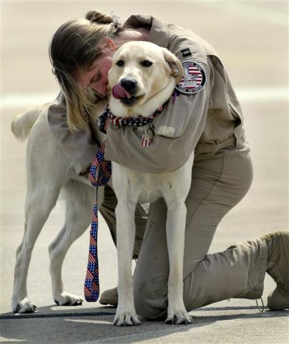 'Asker köpek' 14