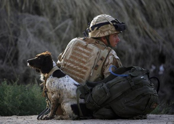'Asker köpek' 6