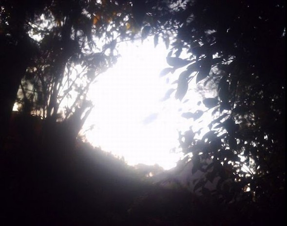 Bu fotoğrafların hepsini kedi çekti 23