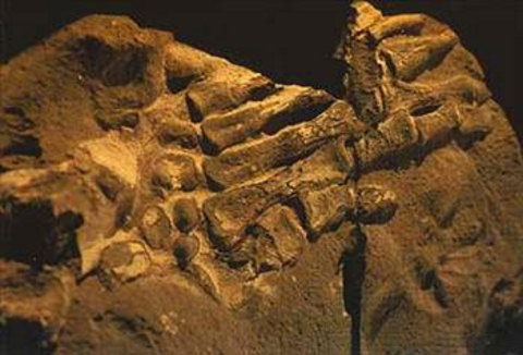 Akılalmaz doğaüstü olaylar! 27
