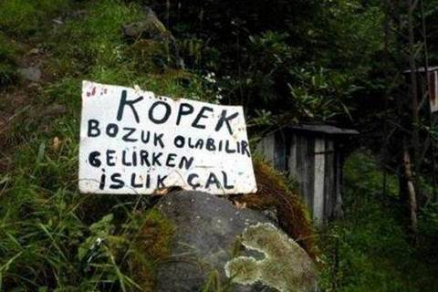 Bu kareler 'Pes' dedirtiyor :) 127