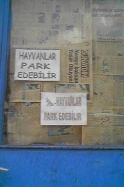 Bu kareler 'Pes' dedirtiyor :) 38