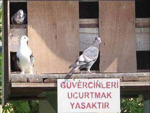Bu kareler 'Pes' dedirtiyor :) 5