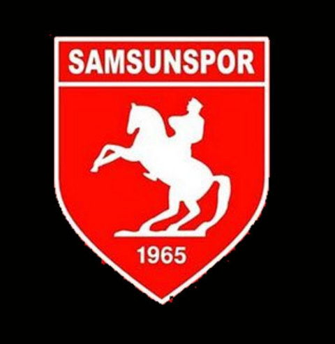 Van'a yardım yarışı! 21