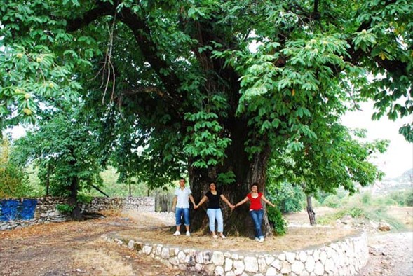 Yurdum insanı - 155 8